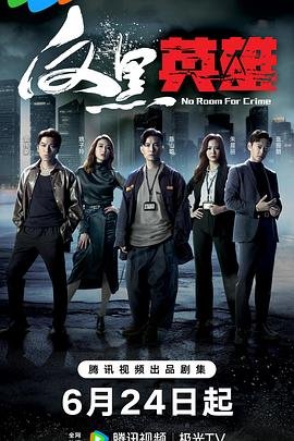 反黑英雄 电视剧 年度热门 蓝光版
