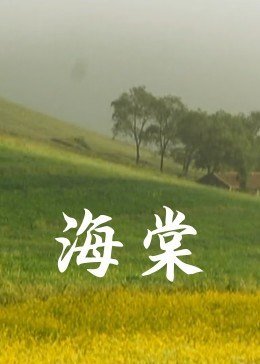 海棠网站 全集观看 HD中字