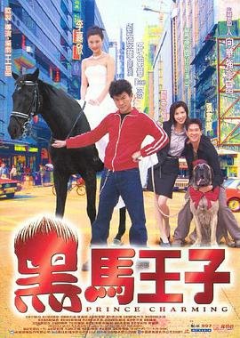 黑马王子 精选 已完结