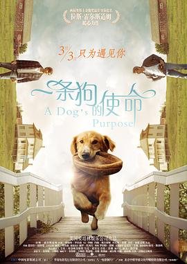 一条狗的使命 全集播放 普通话版