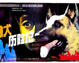 狼犬历险记电影 高清观看 已完结