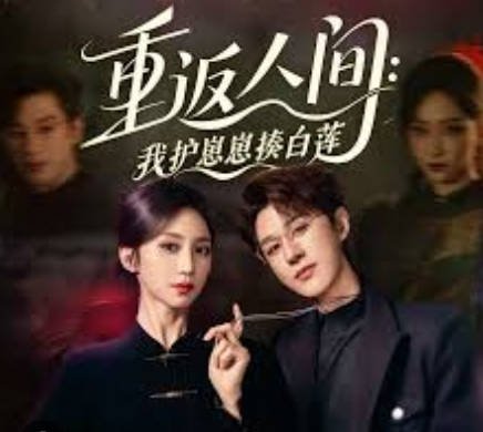 重返人间 在线免费播放 最新一集