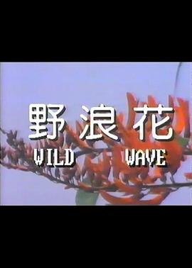 野浪花免费观看全集电视剧 正在播放