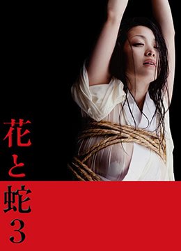 花与蛇3 高清播放 番外篇