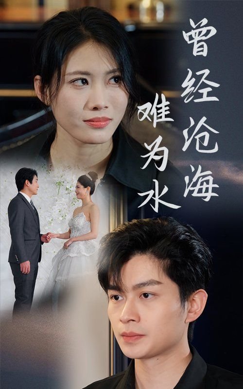 曾经沧海难为水 免费播放 原画质版